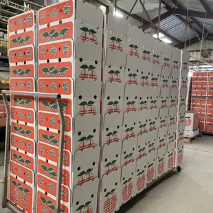 Lots of fresh oranges  here!