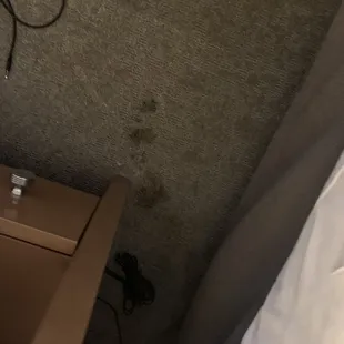 Stains on the carpet