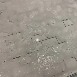 Shower drain. Clogged.