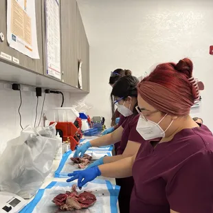 Taking a closer look on the heart