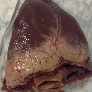Pig heart