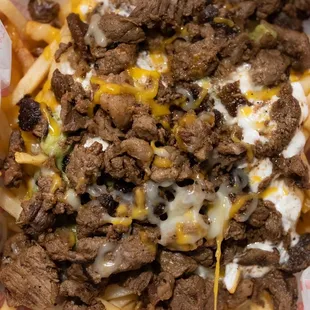 Carne Asada Fries