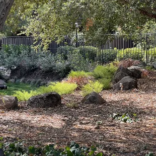 New landscaping at California Nursery Historical Park.