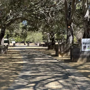 Boxed Tree Forest at California Nursery Historical Park