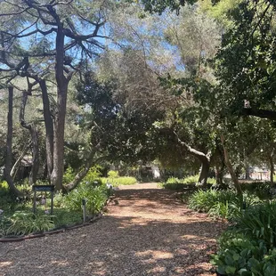 Shady path through "The Woods" at California Nursery Historical Park.