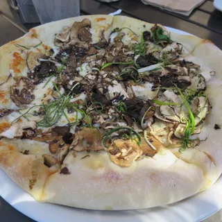 WILD MUSHROOM PIZZA