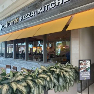 oysters and mussels, outside