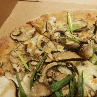 WILD MUSHROOM PIZZA