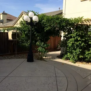 a street light in a residential area