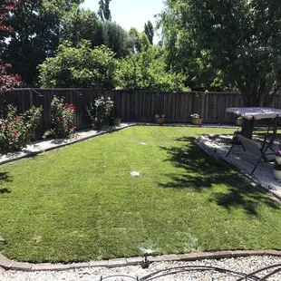 Backyard photo after installation