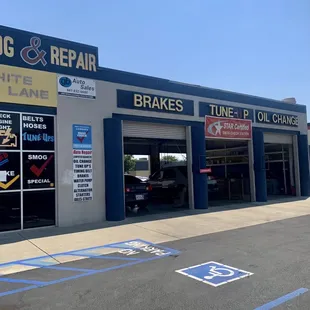 They do Just About Everything at a Great Price!