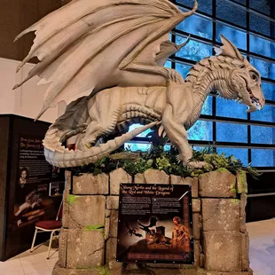 Dragon exhibit in 2023 - Merlin's white dragon