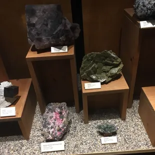 Lots of rock specimens