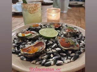 El Matatan The Finest Fusion Of Latin Cuisine