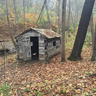 Log cabin Halloween 2015
