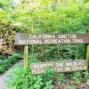 Was able to move further on this trail. Stopped when the trail narrowed to about 12" and was lined with stinging nettles.