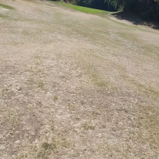 6:52a tee time &amp; there was 2 parties ahead of us &amp; 1 behind waiting to tee. Fairways are horrible, no grass. Dirt is hard. Every hole.