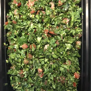 salads, interior
