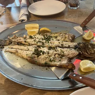 Fresh branzino