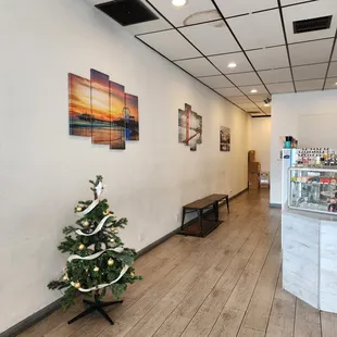 a small christmas tree in the lobby