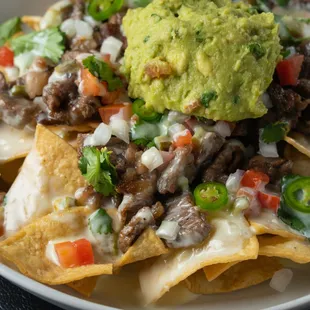 Carne Asada Nachos