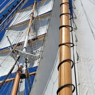 Matthew Turner - each of the hoops you see here that secure the sail are made out of wood. It's kind of amazing.