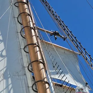 Matthew Turner crew member unfurling the sails.