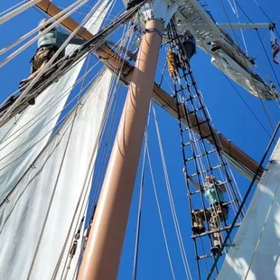 Matthew Turner crew member unfurling the sails.