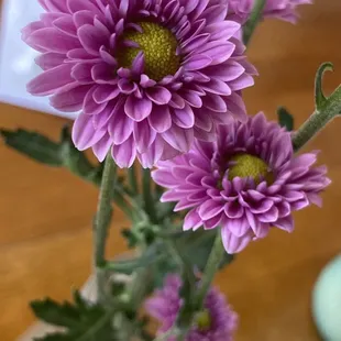 purple flowers in a glass vase