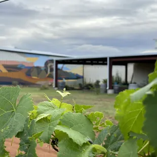 Beautiful mural that you can enjoy from the outdoor seating area