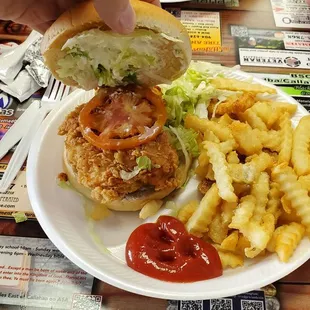 Chicken Sandwich and Fries