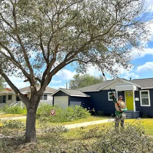 Calloway's Tree Service Corpus Christi Texas