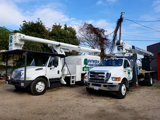 Southern Tree Care