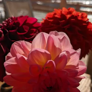 a close up of flowers in a vase