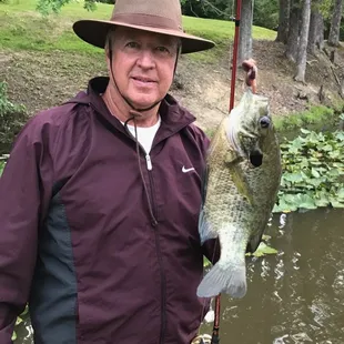 A monster bluegill.