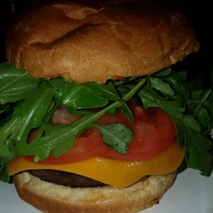 Allen Brothers steakburger available at Calumet Diversified Meats country store with cheddar cheese with tomato mayo n arugula! SOO GOOD