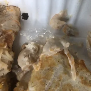 Plastic wrapper in the Quesadilla