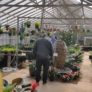 The greenhouse with succulents.