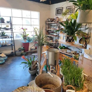 Lots of cute and pretty items