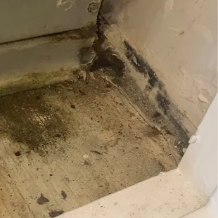 My HVAC system riddled with toxic mold