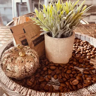 Adorable centerpieces on the tables.