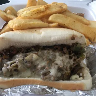 a hot dog and french fries