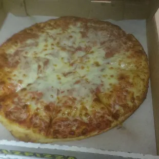 Large Cheeze Pizza