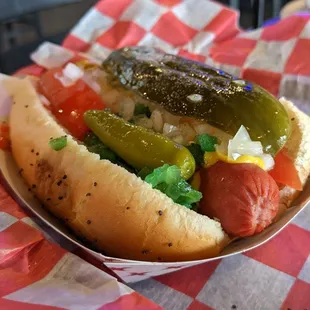 Chicago Dog