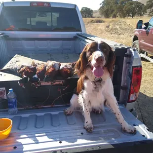 Nothing better then a day in the field! Maverick agrees!