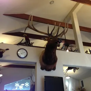 Clubhouse.