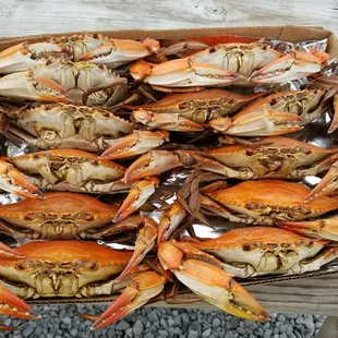 Camardelle's Seafood