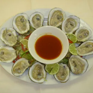 a plate of oysters
