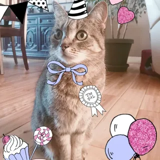 Susi H.