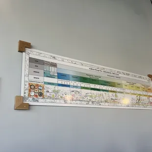 Wall with geological time scale